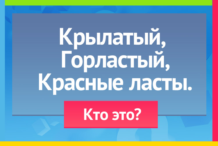 Загадка про гуся. Крылатый, горластый, красные ласты.