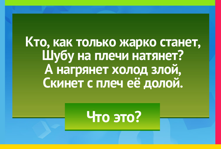 Загадка про лес. Кто, как только жарко станет, Шубу на плечи натянет? А нагрянет холод злой, Скинет с плеч её долой.