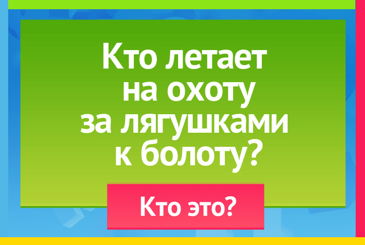 Загадка про аиста. Кто летает на охоту За лягушками к болоту?