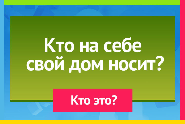 Загадка про улитку. Кто на себе свой дом носит?