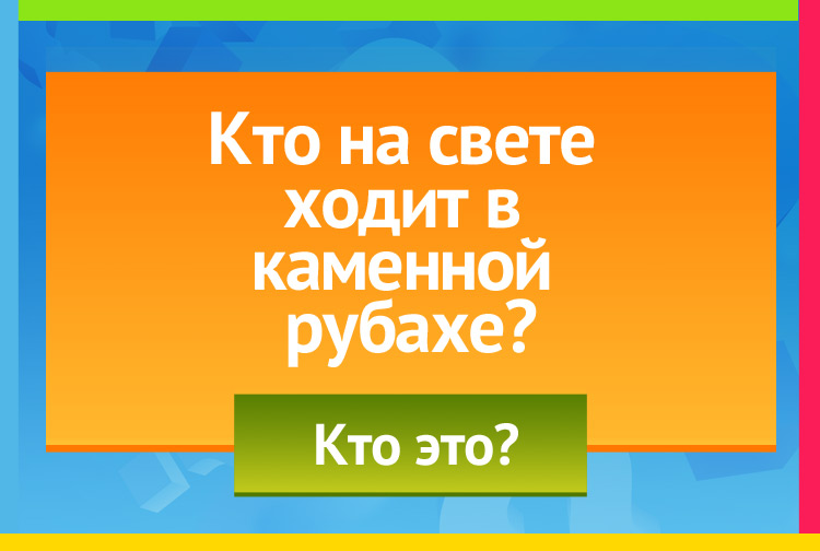 Загадка про черепаху. Кто на свете ходит в каменной рубахе?