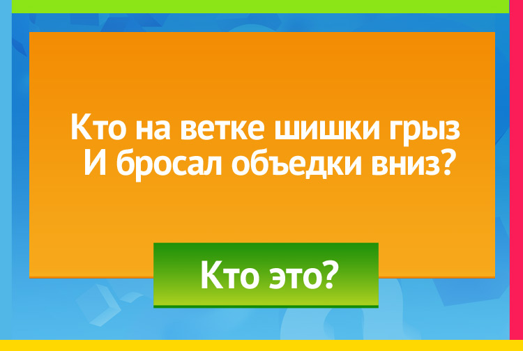 Загадка про белку. Кто на ветке шишки грыз И бросал объедки вниз?