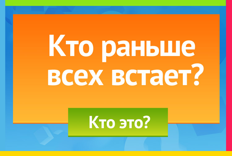 Загадка про петуха. Кто раньше всех встает?