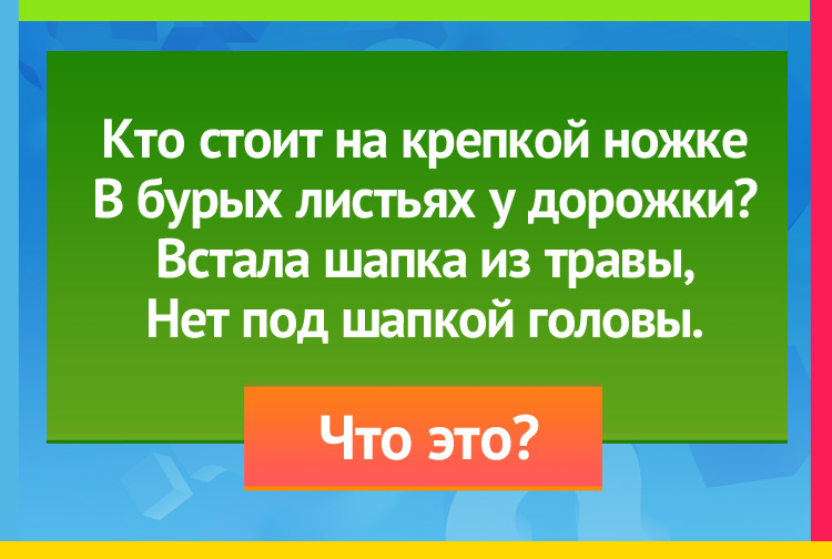 Загадка про гриб. Кто стоит на крепкой ножке В бурых листьях у дорожки? Встала шапка из травы, Нет под шапкой головы.