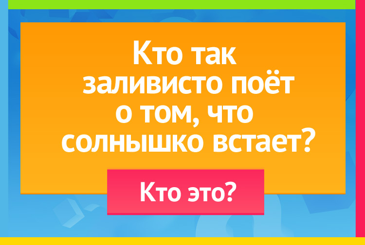 Загадка про петуха. Кто так заливисто поёт О том, что солнышко встает?