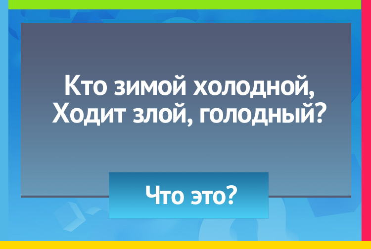 Загадка про волка. Кто зимой холодной, Ходит злой, голодный?