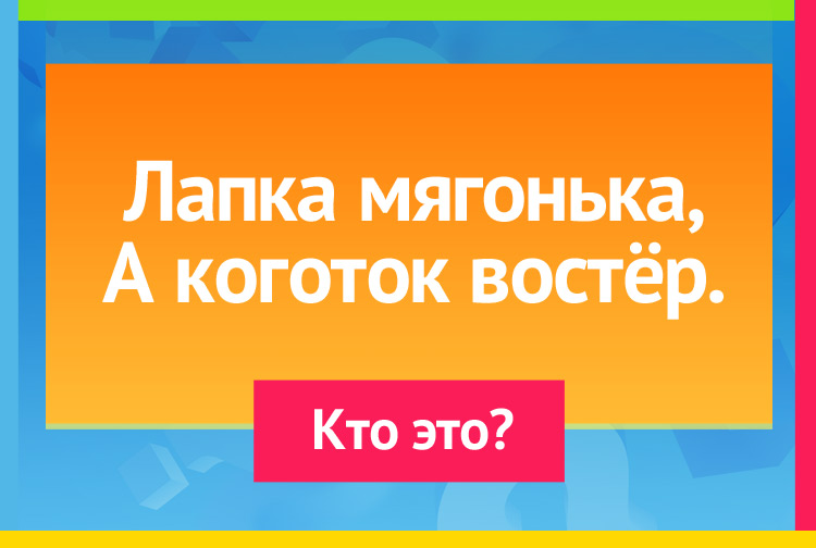 Загадка про кошку. Лапка мягонька, А коготок востёр.