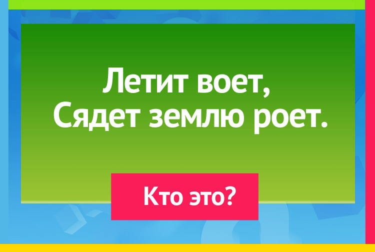 Загадка про жука. Летит воет, Сядет землю роет.