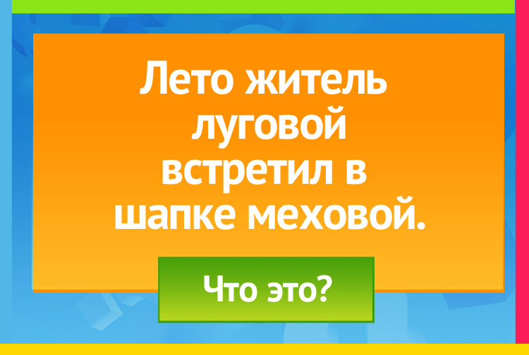 Загадка про одуванчик. Лето житель луговой Встретил в шапке меховой.