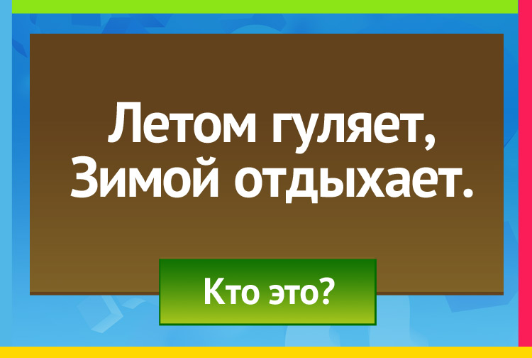 Загадка про медведя. Летом гуляет, Зимой отдыхает.