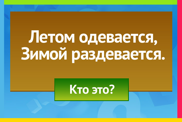 Загадка про медведя. Летом наедается, Зимой высыпается.