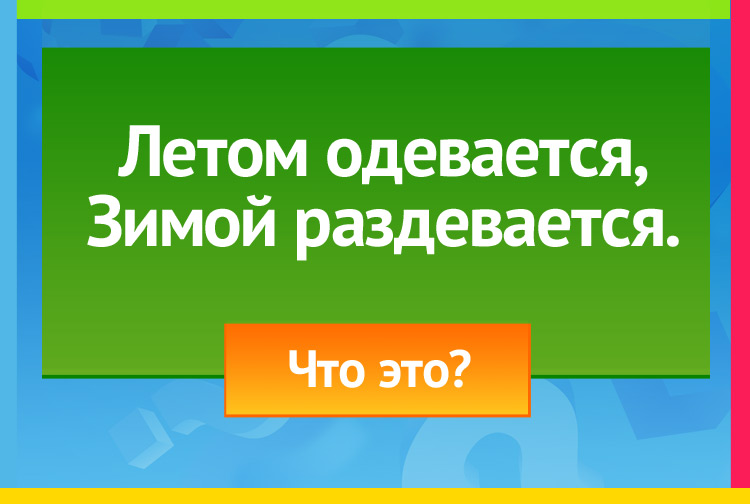 Загадка про лес. Летом одевается, Зимой раздевается.