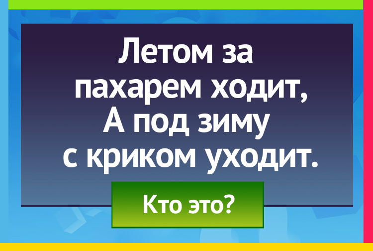 Загадка про грача. Летом за пахарем ходит, А под зиму с криком уходит.