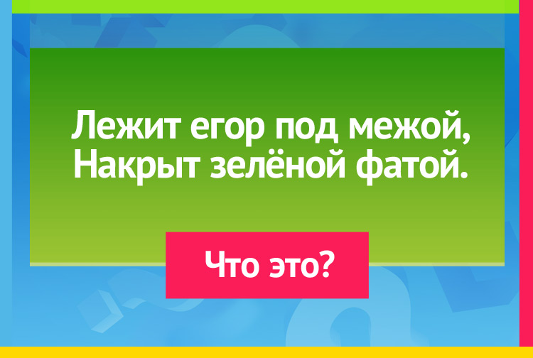 Загадка про огурец. Лежит егор под межой, Накрыт зелёной фатой.