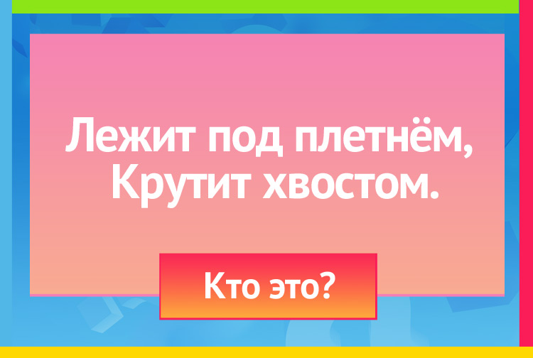 Загадка про свинью. Лежит под плетнём, Крутит хвостом.