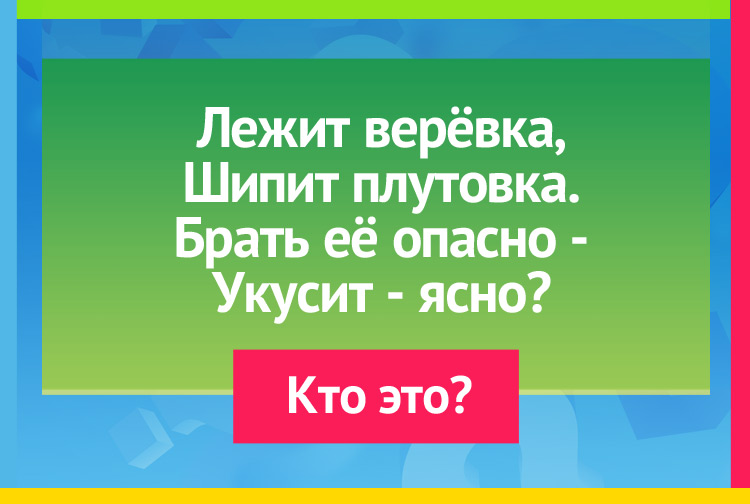 Загадка про змею. Лежит верёвка, Шипит плутовка. Брать её опасно Укусит - ясно?