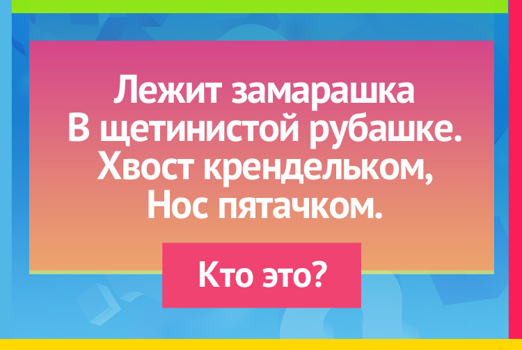 Загадка про поросенка. Лежит замарашка В щетинистой рубашке. Хвост крендельком, Нос пятачком.