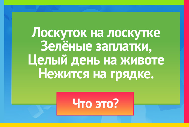 Загадка про капусту. Лоскуток на лоскутке Зелёные заплатки, Целый день на животе Нежится на грядке.