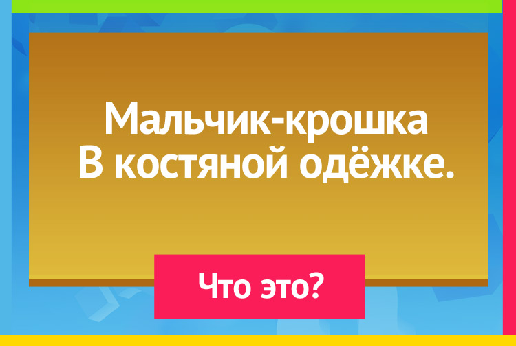 Загадки про орех. Мальчик-крошка В костяной одёжке.