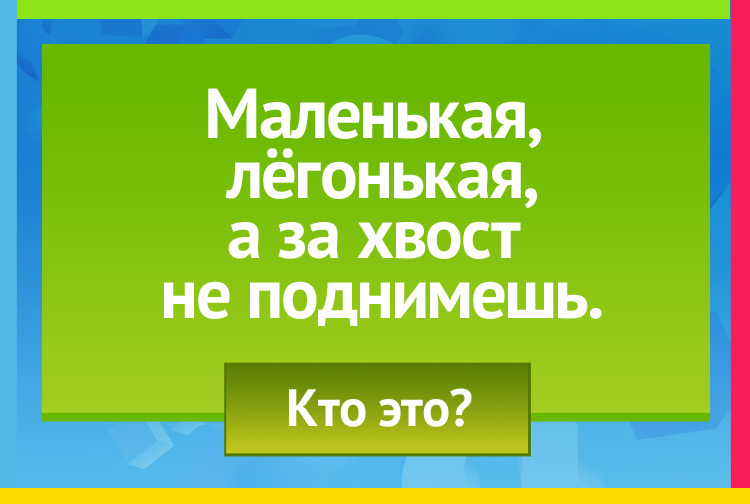 Загадка про ящирецу. Маленькая, лёгонькая, А за хвост не поднимешь.