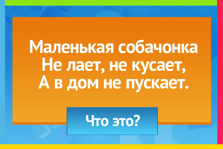 Загадка про замок на дверях. Маленькая собачонка Не лает, не кусает, А в дом не пускает.