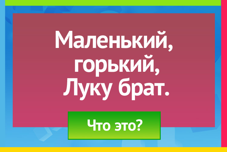 Загадка про чеснок. Маленький, горький, Луку брат.