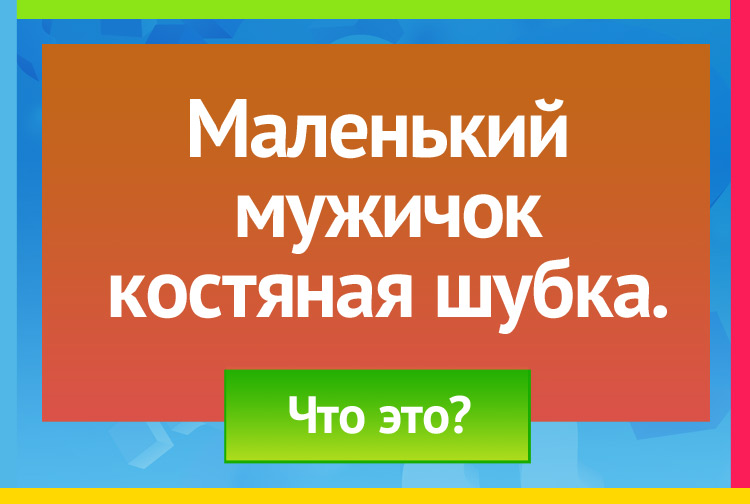 Загадка про орех. Маленький мужичок Костяная шубка.