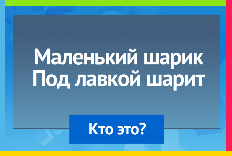 Загадка про мышь. Маленький шарик Под лавкой шарит.