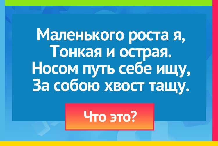 Загадка про Иглу и нитку. Маленького роста я, Тонкая и острая. Носом путь себе ищу, За собою хвост тащу.