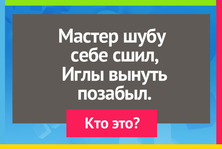 Загадка про ежа. Мастер шубу себе сшил, Иглы вынуть позабыл.