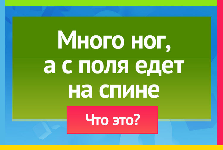 Загадка про Борона. Много ног, а с поля едет на спине.