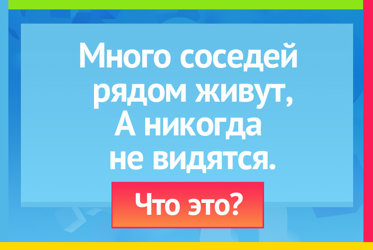 Загадка про окно. Много соседей рядом живут, А никогда не видятся.