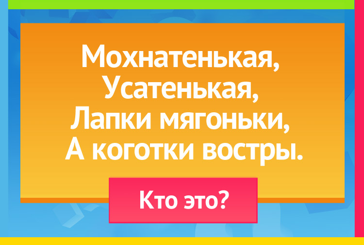 Загадка про кошку. Мохнатенькая, Усатенькая, Лапки мягоньки, А коготки востры.