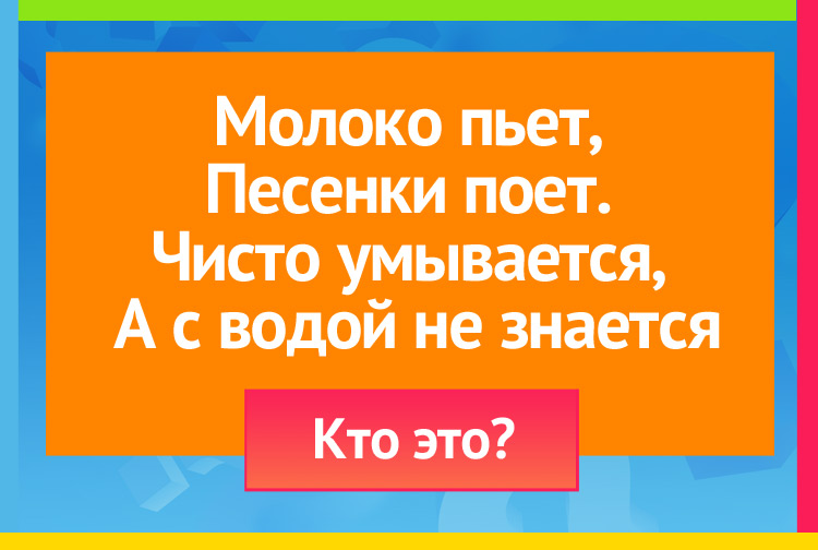 Загадка про кошку. Молоко пьет, Песенки поет. Чисто умывается, А с водой не знается.