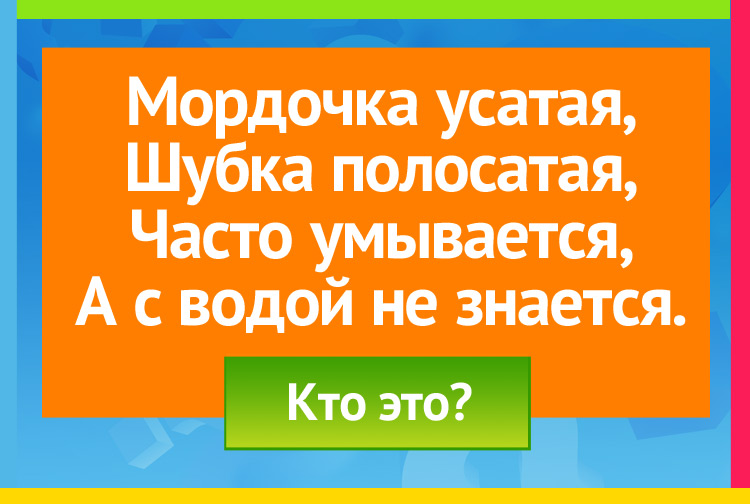 Загадка про кошку. Мордочка усатая, Шубка полосатая, Часто умывается, А с водой не знается.