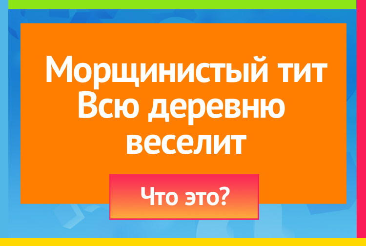 Загадка про гармонь. Морщинистый тит Всю деревню веселит.