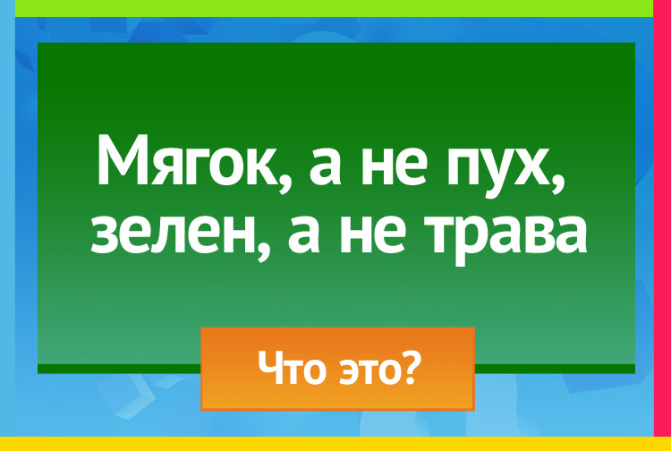 Загадка про мох. Мягкий а не пух зеленый а не трава