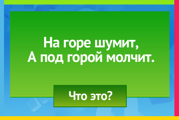 Загадка про лес. На горе шумит, А под горой молчит.