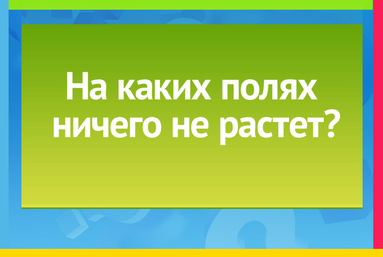 Загадка про поля тетради. На каких полях Ничего не растёт?