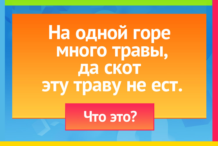 Загадка про волосы. На одной горе много травы, Да скот эту траву не ест.