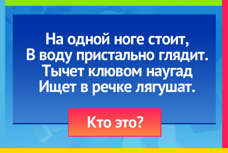 Загадка про цаплю. На одной ноге стоит, В воду пристально глядит. Тычет клювом наугад Ищет в речке лягушат.