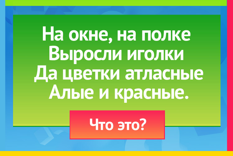 Загадка про кактус. На окне, на полке Выросли иголки Да цветки атласные Алые и красные.