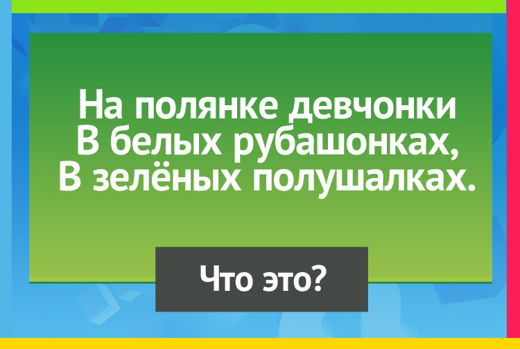 Загадка про Березы. На полянке девчонки В белых рубашонках, В зелёных полушалках.