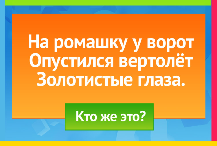 Загадка про Стрекозу. На ромашку у ворот Опустился вертолёт Золотистые глаза.