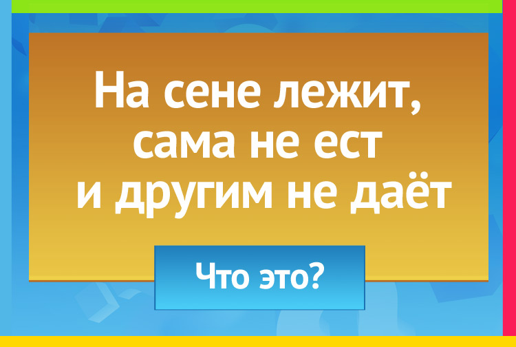 Загадка про собаку. На сене лежит, Сама не ест И другим не даёт.