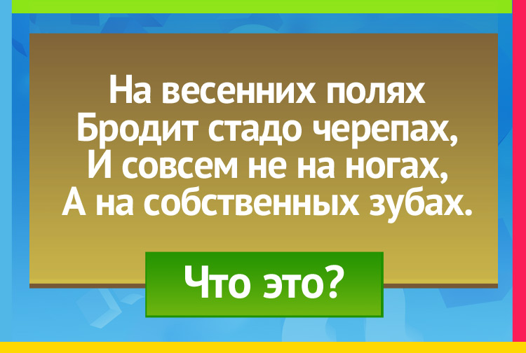 Загадка про Борона. На весенних полях Бродит стадо черепах, И совсем не на ногах, А на собственных зубах.