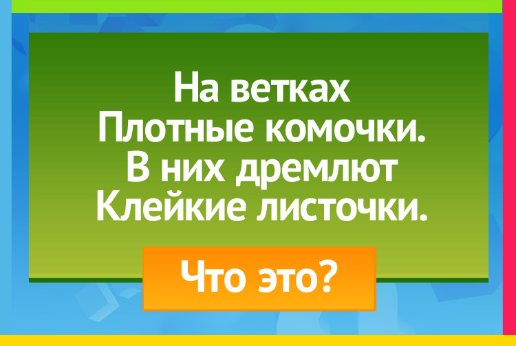 Загадки про почки (на деревьях). На ветках плотные комочки. В них дремлют Клейкие листочки.