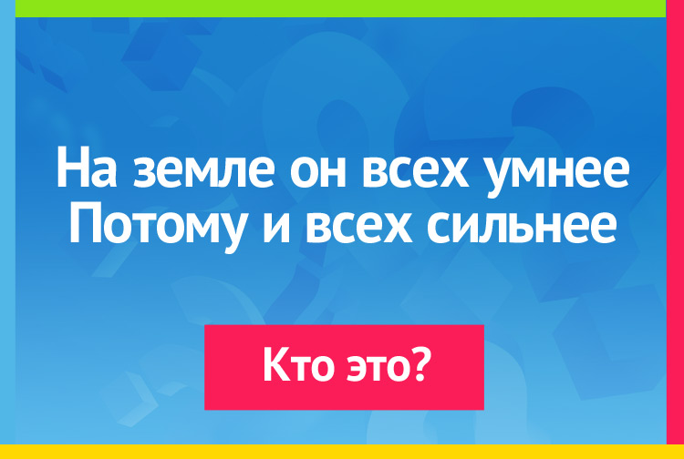 Загадка про человека. На земле он всех умнее Потому и всех сильнее