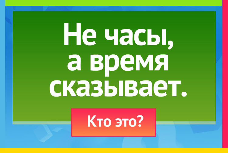 Загадка про кукушку. Не часы, а время сказывает.