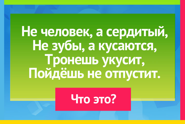 Загадка про капкан. Не человек, а сердитый, Не зубы, а кусаются, Тронешь укусит, Пойдёшь не отпустит.